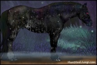 Horse Color:ERROR: UNKNOWN ANOMALY and ERROR: UNKNOWN ANOMALY
