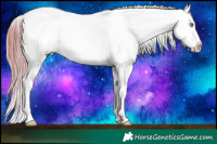 Horse Color:Watercolor Brown Pearl Splash Tobiano Varnish Rabicano and Watercolor Bay Splash Varnish Rabicano