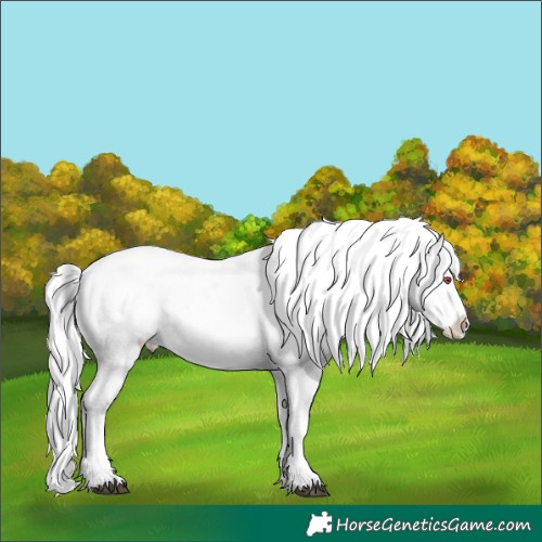 Horse Color:Brown Chinchilla Onyx Sabino Varnish Rabicano Brindle  and White Spotted Brown Chinchilla Onyx Near Leopard Rabicano Brindle 