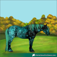 Horse Color:ERROR: UNKNOWN ANOMALY and ERROR: UNKNOWN ANOMALY