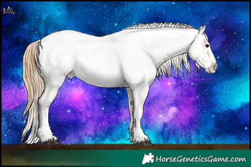 Horse Color:Buckskin Dun Sabino Varnish Rabicano  and White Spotted Buckskin Pearl Frame Snowcap Rabicano 
