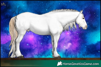 Horse Color:Buckskin Dun Sabino Varnish Rabicano and White Spotted Buckskin Pearl Frame Snowcap Rabicano