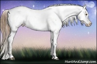Horse Color:Brown Roan Pearl Snowcap Rabicano and Brown Roan Pearl Dun Snowcap Rabicano