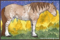 Horse Color:White Spotted Brown Ice Pearl Frame and White Spotted Brown Ice Pearl