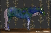 Horse Color:ERROR: UNKNOWN ANOMALY and ERROR: UNKNOWN ANOMALY