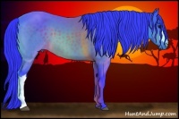 Horse Color:Watercolor Bay 