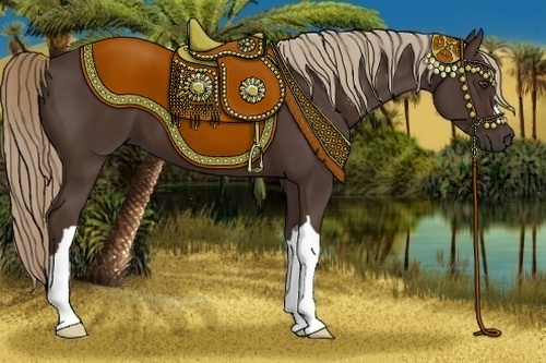 Horse Color:Liver Chestnut 