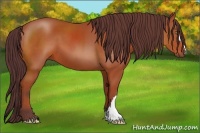 Horse Color:Chocolate Bay 