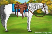 Horse Color:White Spotted Black Frame Appaloosa Rabicano and White Spotted Black Appaloosa Rabicano