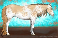 Horse Color:White Spotted Gold Champagne