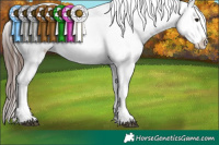 Horse Color:White Spotted Brown Mushroom Frame Varnish Rabicano  and White Spotted Brown Mushroom Frame Varnish Rabicano 