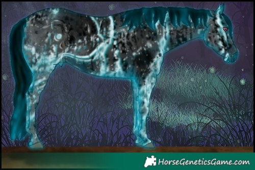 Horse Color:ERROR: UNKNOWN ANOMALY and ERROR: UNKNOWN ANOMALY