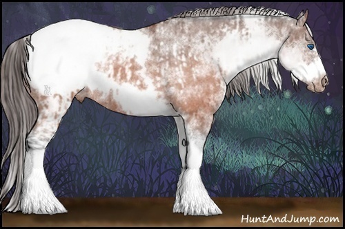 Horse Color:White Spotted Brown Frame Snowcap Rabicano and White Spotted Brown Splash Frame Snowcap Rabicano