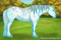 Horse Color:Thunderstruck Silver Blue Onyx Ice Roan Splash Blanket 