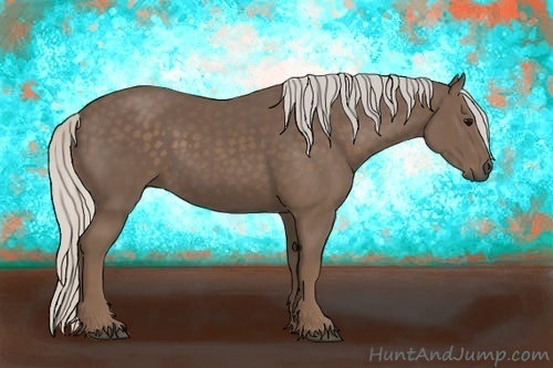 Horse Color:Silver Black 