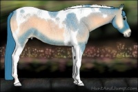 Horse Color:Watercolor Blue Onyx Roan Tobiano 
