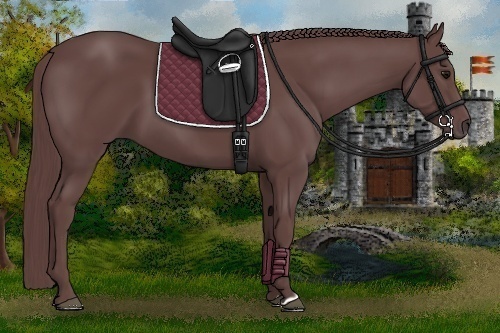 Horse Color:Chocolate Smoky Black 