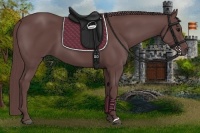 Horse Color:Chocolate Smoky Black 