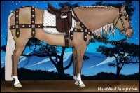 Horse Color:Chocolate Silver Buckskin