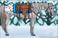 Horse Color:Smoky Black Appaloosa 