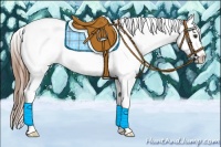 Horse Color:Chestnut Sabino Appaloosa 