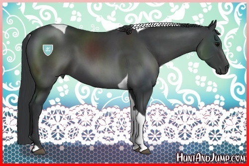 Horse Color:Black Tobiano 