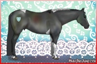 Horse Color:Black Tobiano