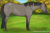 Horse Color:Smoky Grullo Rabicano 