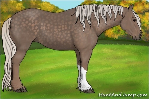 Horse Color:Silver Black 