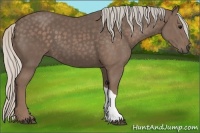 Horse Color:Silver Black 
