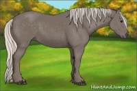 Horse Color:Silver Smoky Black 