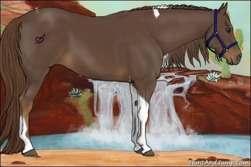 Horse Color:Liver Chestnut Tobiano 