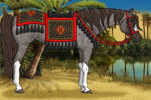 Horse Color:Liver Red Roan 