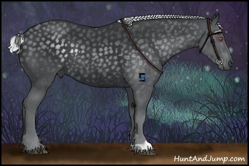 Horse Color:Silver Black Chinchilla Rabicano 