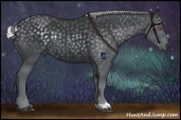 Horse Color:Silver Black Chinchilla Rabicano