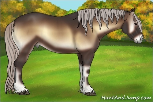 Horse Color:Silver Bay Onyx 