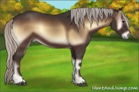 Horse Color:Silver Bay Onyx 