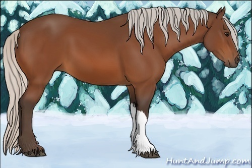 Horse Color:Silver Bay 
