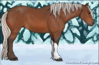 Horse Color:Silver Bay