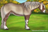 Horse Color:Silver Blue Onyx 