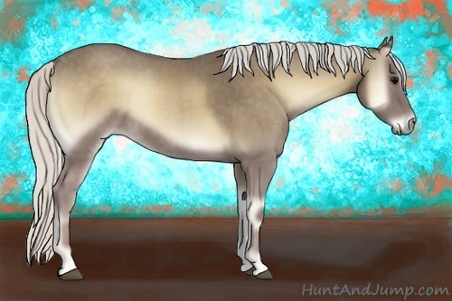 Horse Color:Silver Smoky Blue Onyx 