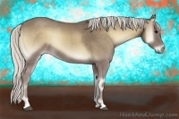 Horse Color:Silver Smoky Blue Onyx 