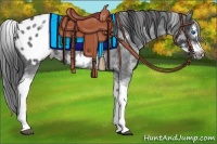 Horse Color:White Spotted Blue Roan Splash Frame Appaloosa 