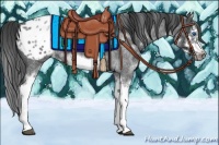 Horse Color:White Spotted Blue Roan Splash Frame Appaloosa 