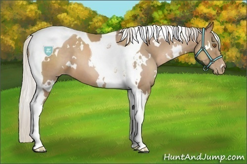 Horse Color:White Spotted Silver Black Pearl Tobiano 