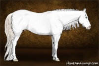 Horse Color:White Spotted Smoky Creme Ice Roan Snowflake Varnish Rabicano 