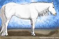 Horse Color:Chocolate Palomino Ice Tobiano Snowflake Varnish