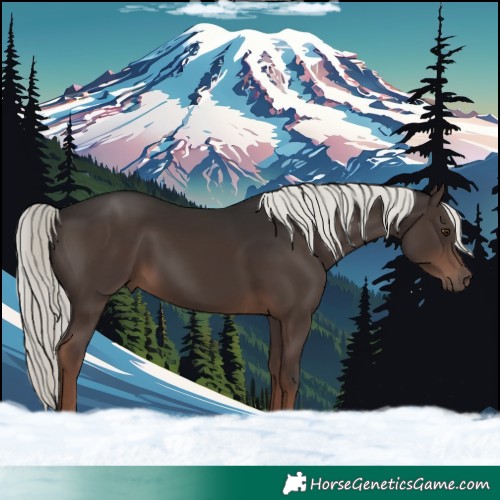 Horse Color:Liver Chestnut Mushroom