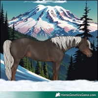 Horse Color:Liver Chestnut Mushroom 