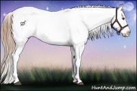 Horse Color:White Spotted Liver Chestnut Ice Appaloosa 